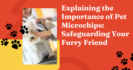 Explaining the Importance of Pet Microchips: Safeguarding Your Furry Friend