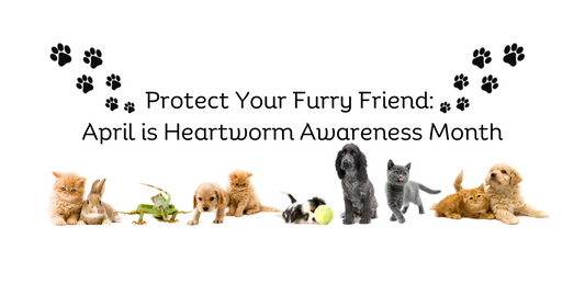 Protect Your Fury Friend: April is Heartworm Awareness Month