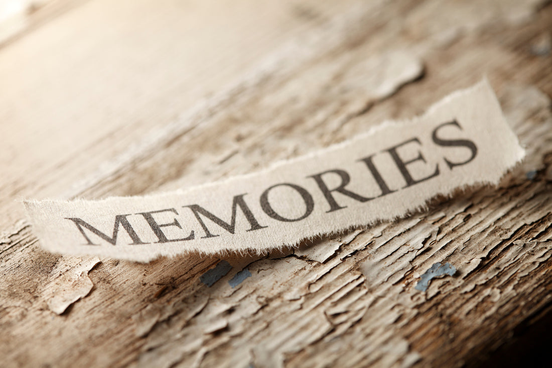 Healing Paws: Navigating the Journey of Grief After Losing a Beloved Pet