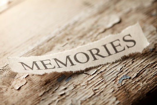 Healing Paws: Navigating the Journey of Grief After Losing a Beloved Pet