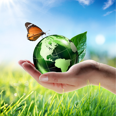 Eco-Friendly