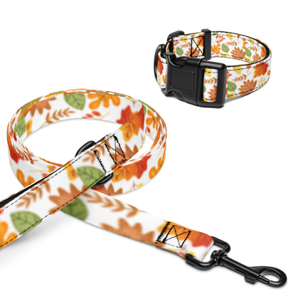 Chasing Leaves Pet collar & leash