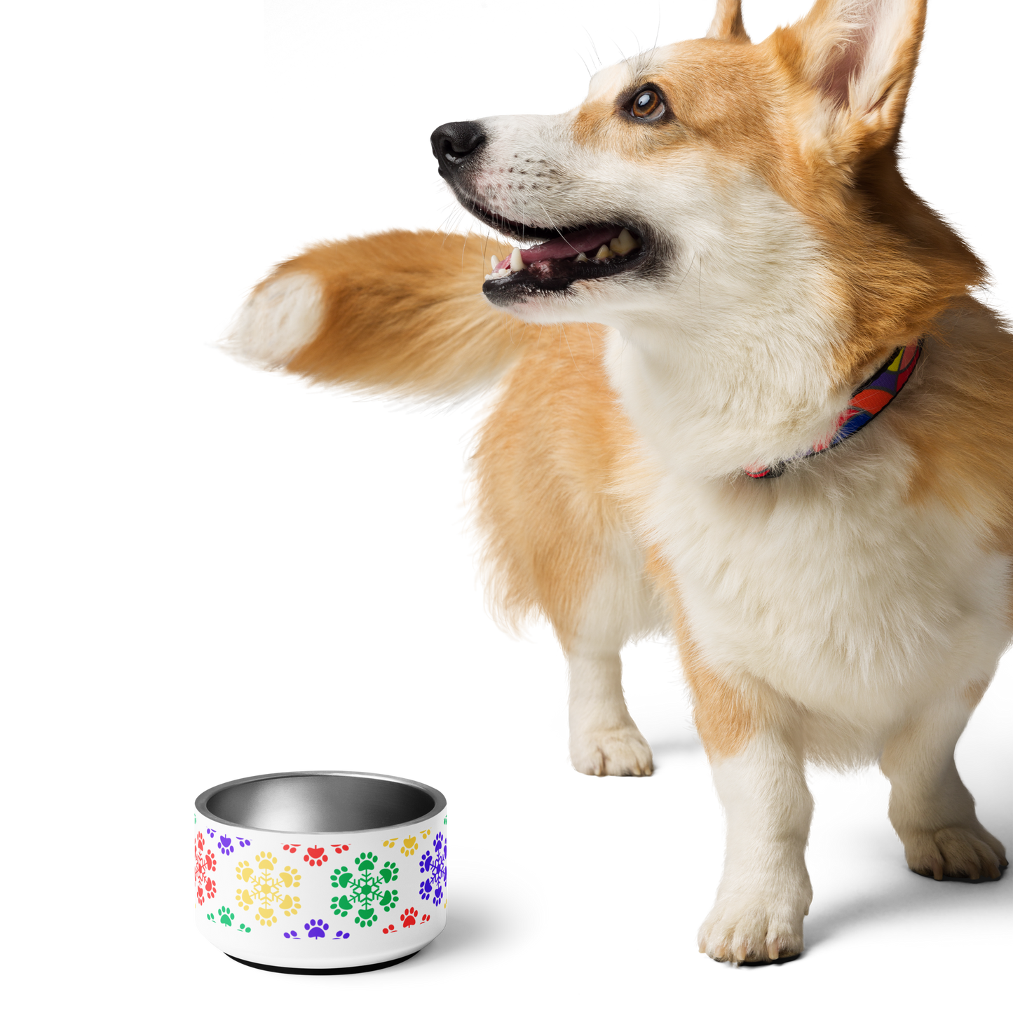 Pawflake Pet bowl